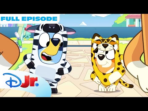 Bluey "Onesies" FULL Episode! 💙 | Bluey and Bingo get Onesies! | @disneyjr